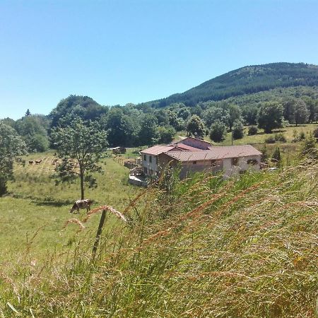 Le Moulin De La Fortie, Maison D'Hotes Viscomtat Dış mekan fotoğraf