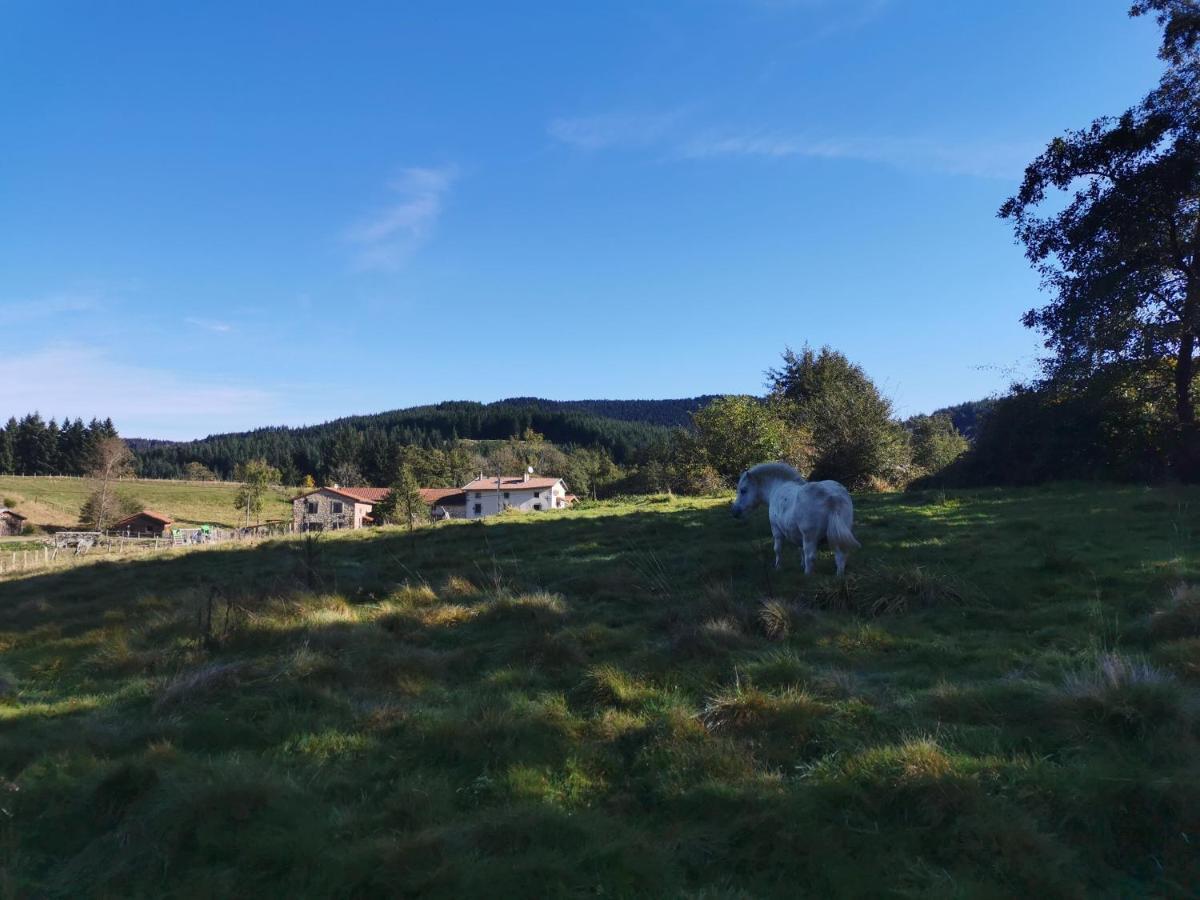 Le Moulin De La Fortie, Maison D'Hotes Bed & Breakfast Viscomtat Dış mekan fotoğraf