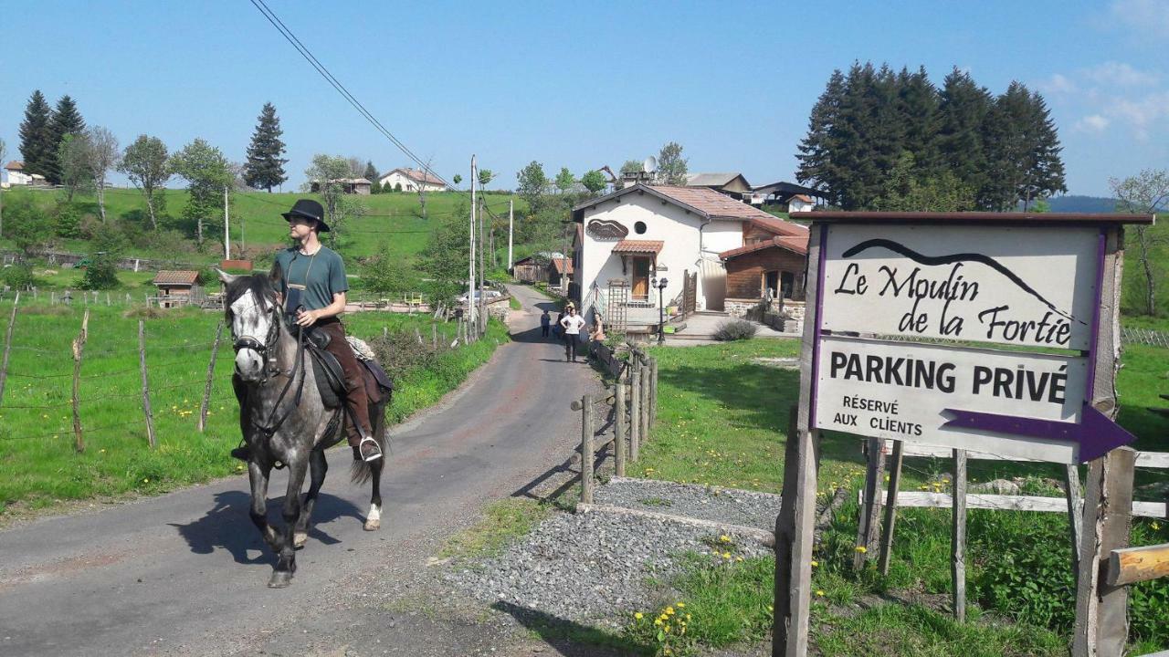 Le Moulin De La Fortie, Maison D'Hotes Viscomtat Dış mekan fotoğraf